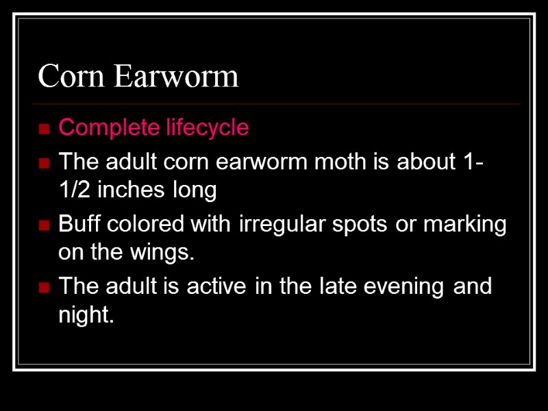 Corn Earworm Complete lifecycle The adult corn earworm moth is about 1-1/2 inches long